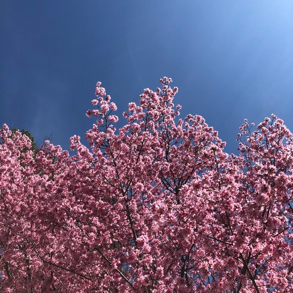 Meet your Posher, Jonathan - Picture 1 of 1